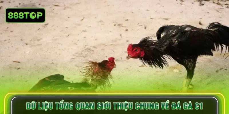 Dữ liệu tổng quan giới thiệu chung về đá gà C1