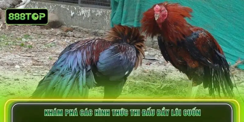 Khám phá các hình thức thi đấu đầy lôi cuốn